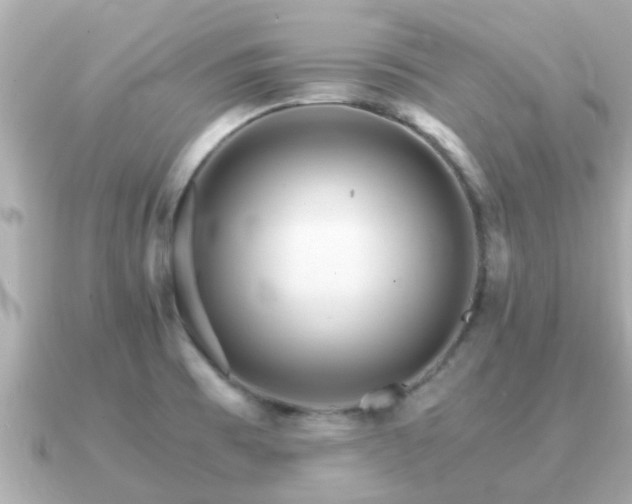 X0000091101473200708131057