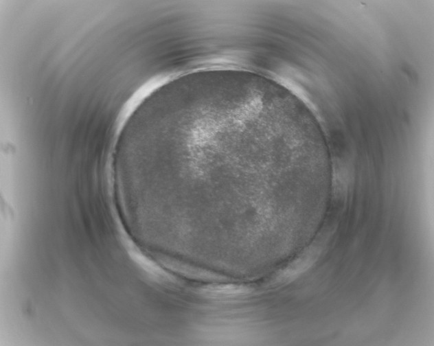 X0000091101474200708131057