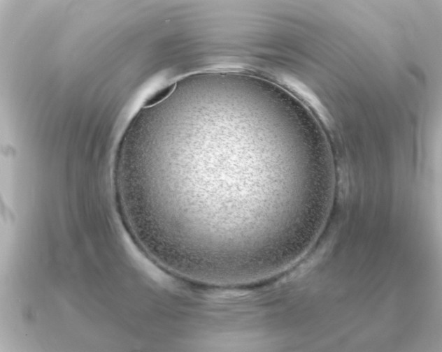 X0000091101475200708131057