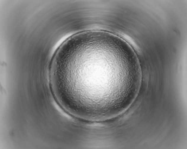 X0000091101476200708131057