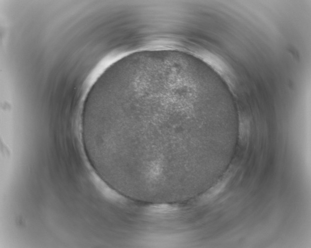 X0000091101478200708131057