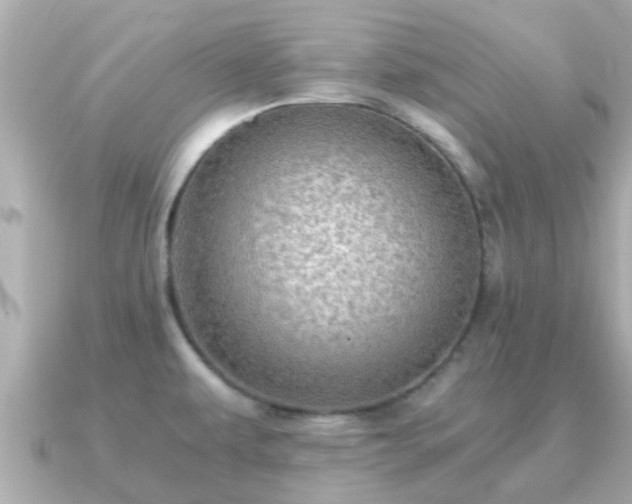 X0000091101479200708131057