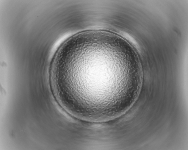 X0000091101480200708131057