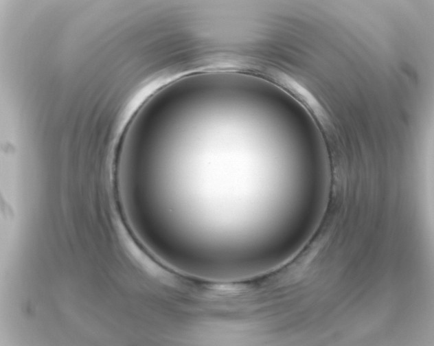 X0000091101483200708131057