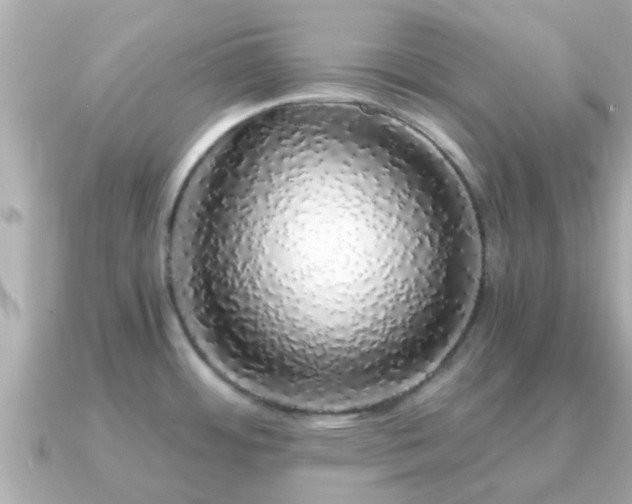 X0000091101484200708131057