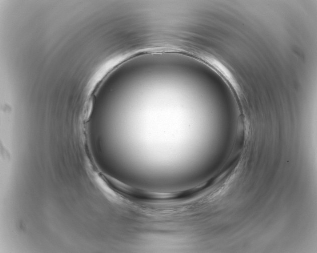 X0000091101485200708131057