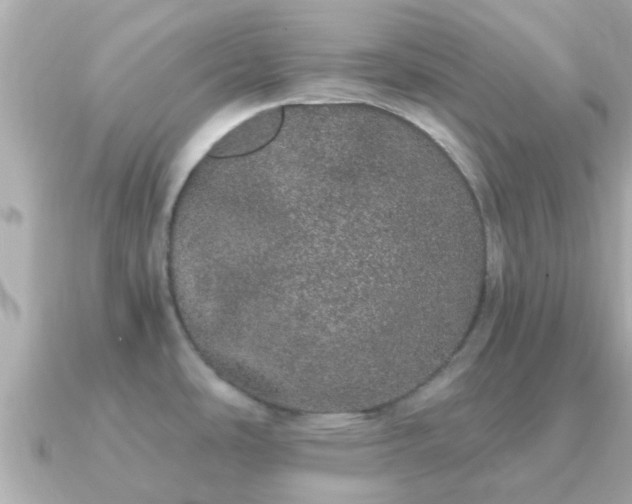 X0000091101486200708131057