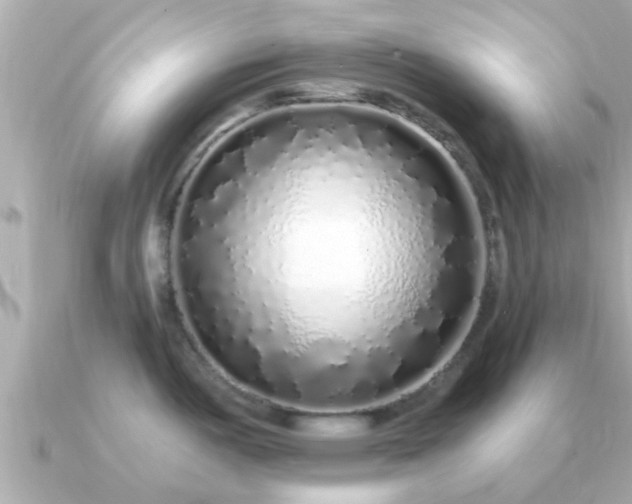 X0000091101487200708131057