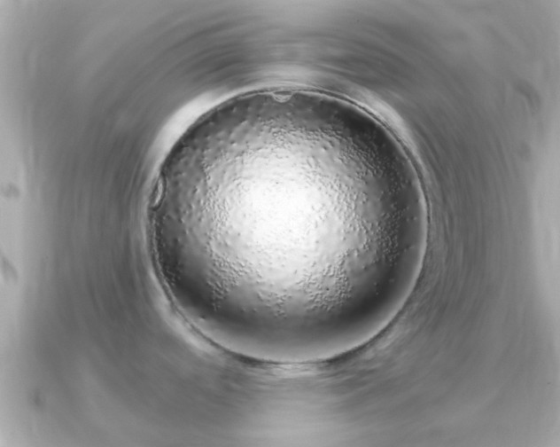 X0000091101488200708131057