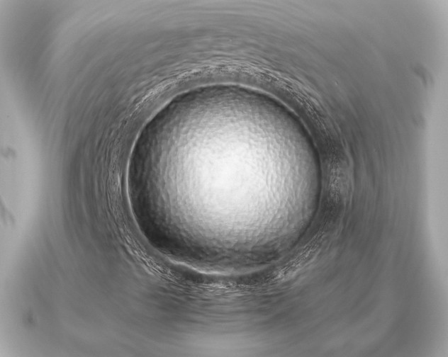 X0000091101489200708131057