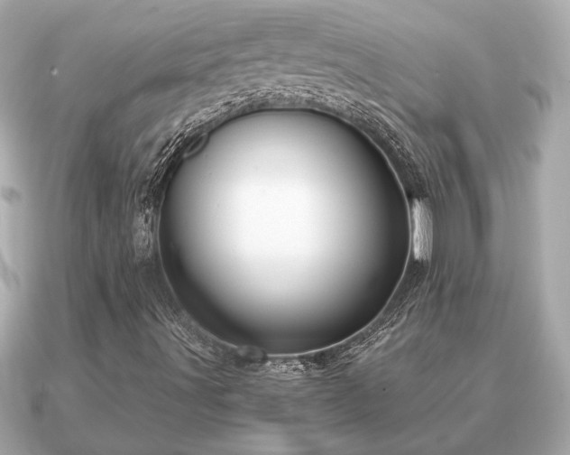 X0000091101491200708131057