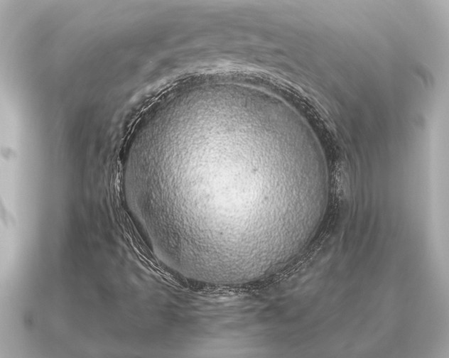 X0000091101493200708131057