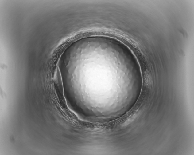 X0000091101494200708131057