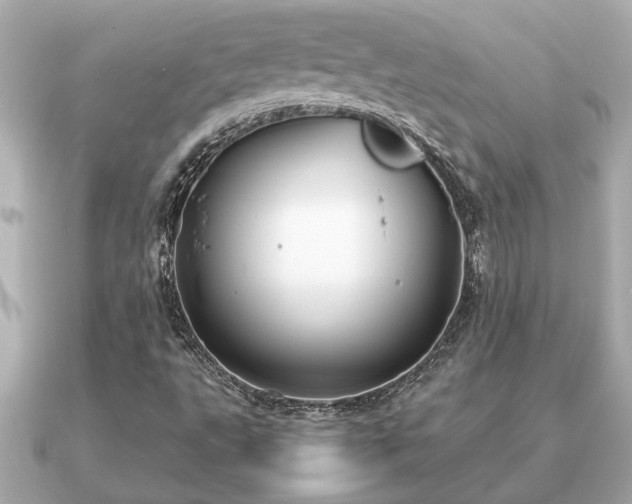 X0000091101495200708131057