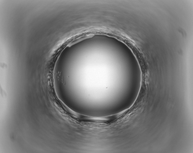 X0000091101496200708131057