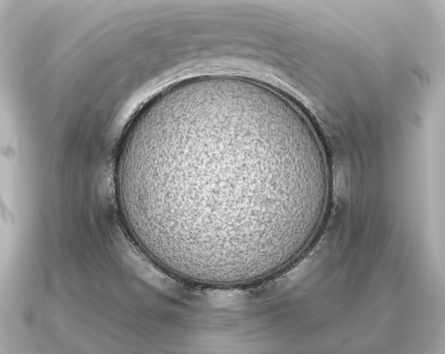 X0000091101498200708131057