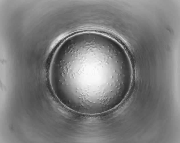 X0000091101501200708131057