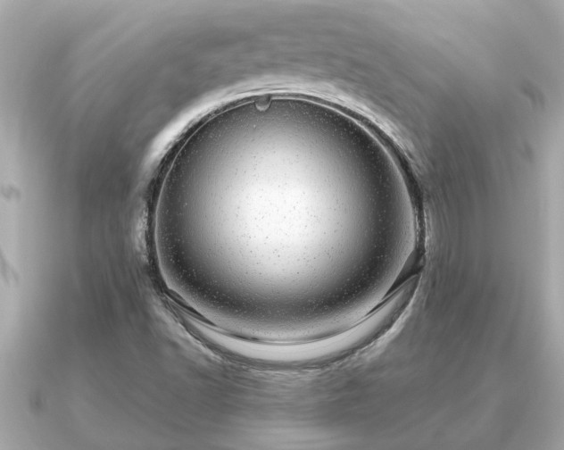 X0000091101502200708131057