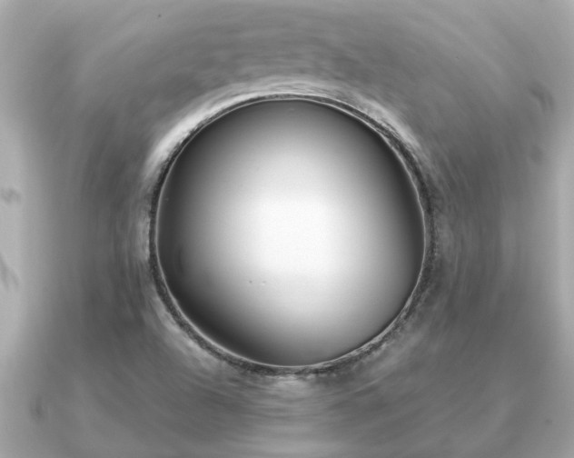 X0000091101504200708131057