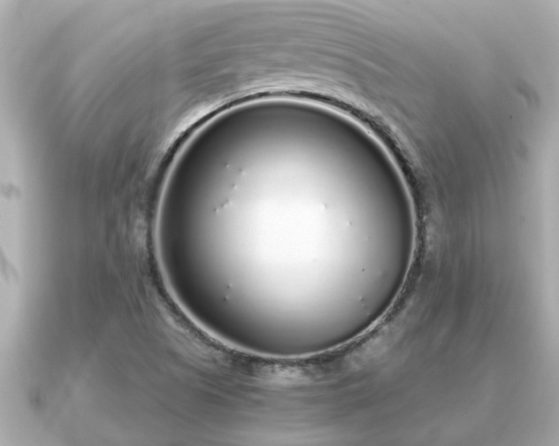 X0000091101505200708131057