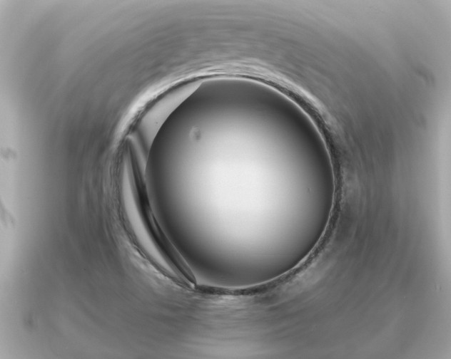 X0000091101506200708131057