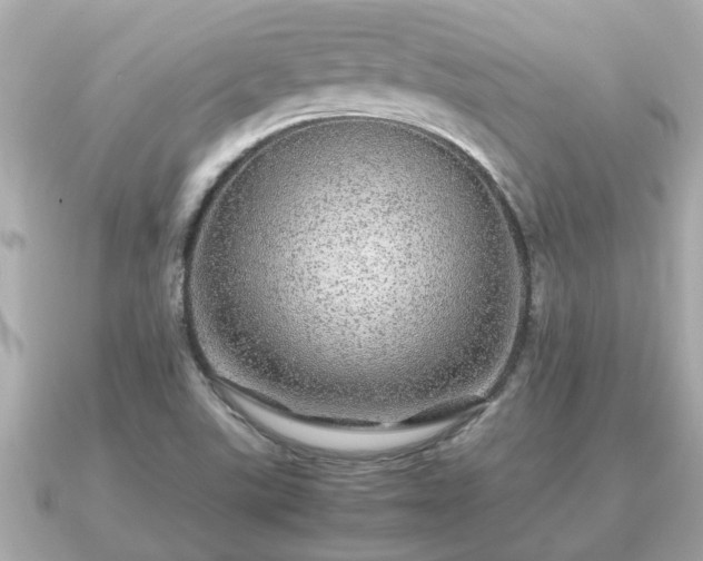 X0000091101507200708131057