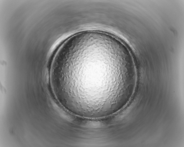 X0000091101509200708131057