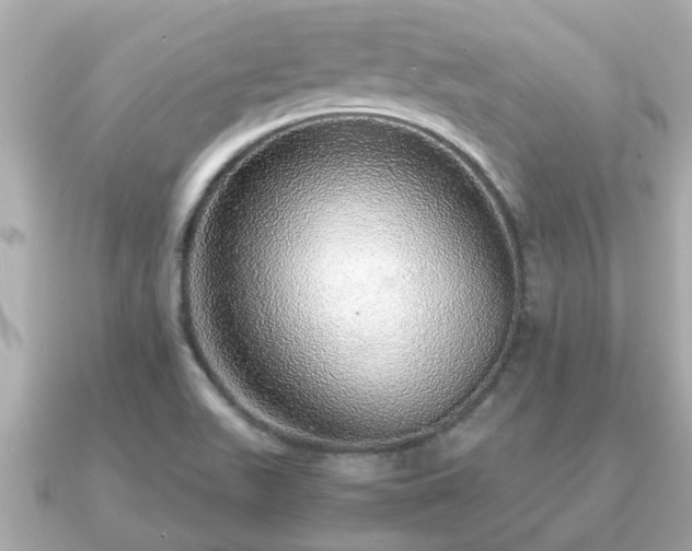 X0000091101511200708131057