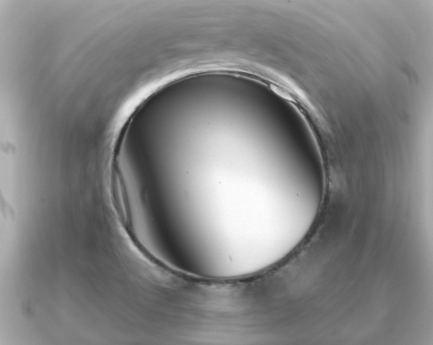 X0000091101512200708131057