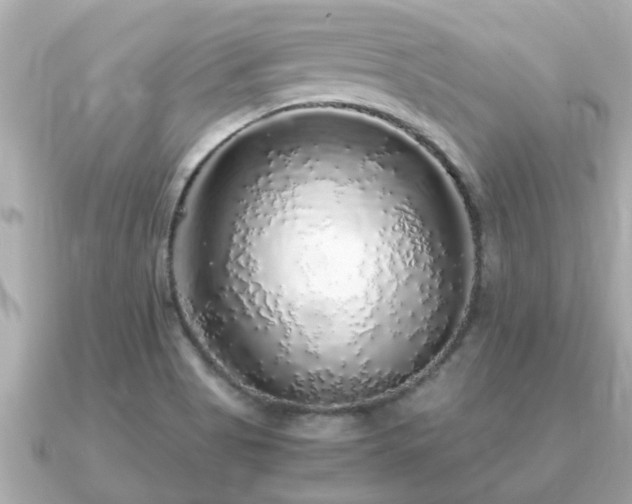 X0000091101513200708131057