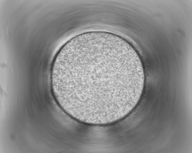 X0000091101514200708131057