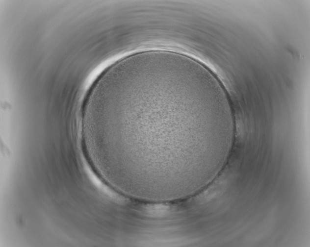 X0000091101515200708131057