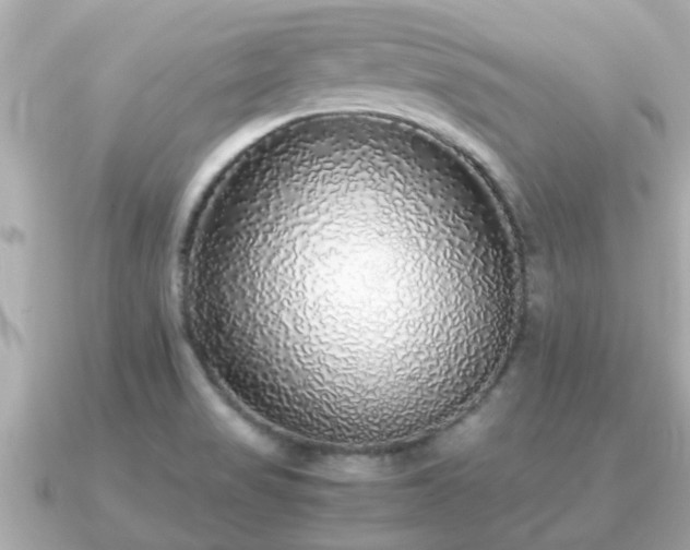 X0000091101517200708131057