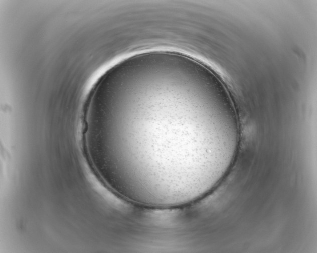 X0000091101518200708131057