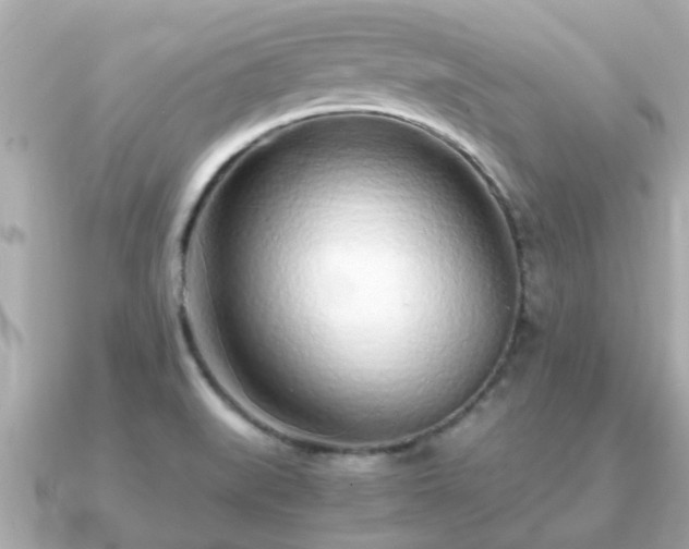 X0000091101519200708131057