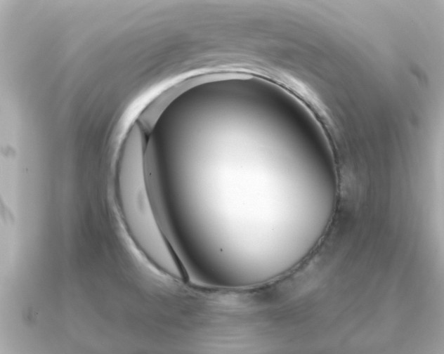 X0000091101520200708131057