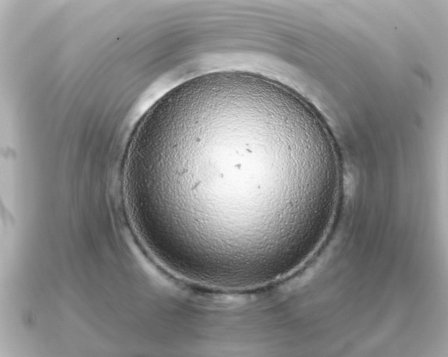 X0000091101521200708131057