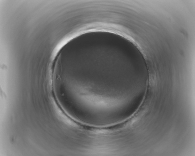 X0000091101522200708131057