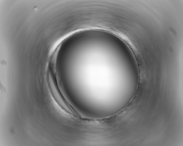 X0000091101524200708131057