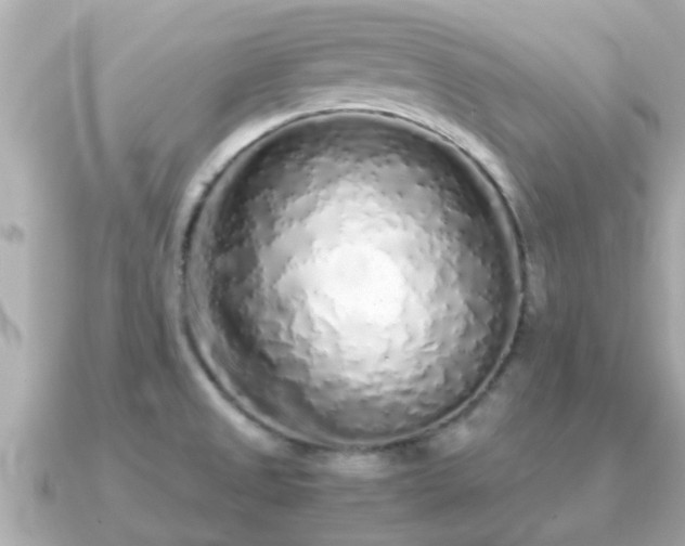 X0000091101525200708131057