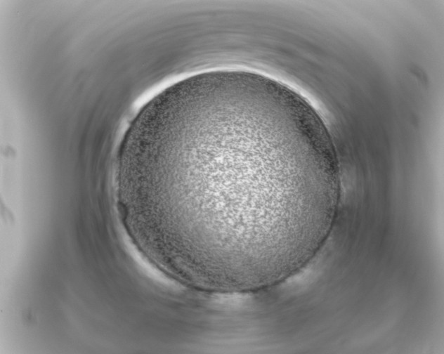 X0000091101526200708131057