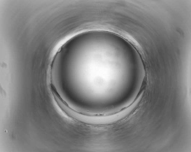 X0000091101528200708131057