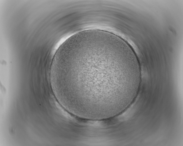 X0000091101529200708131057