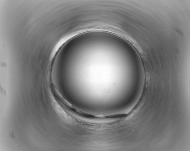 X0000091101530200708131057