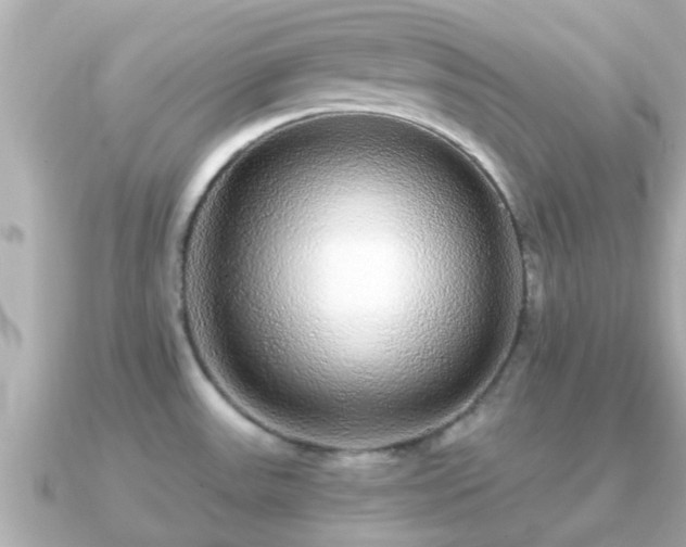 X0000091101531200708131057