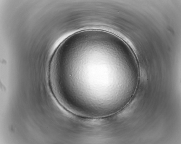 X0000091101533200708131057