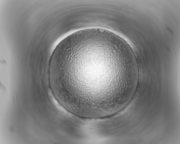 X0000091101534200708131057