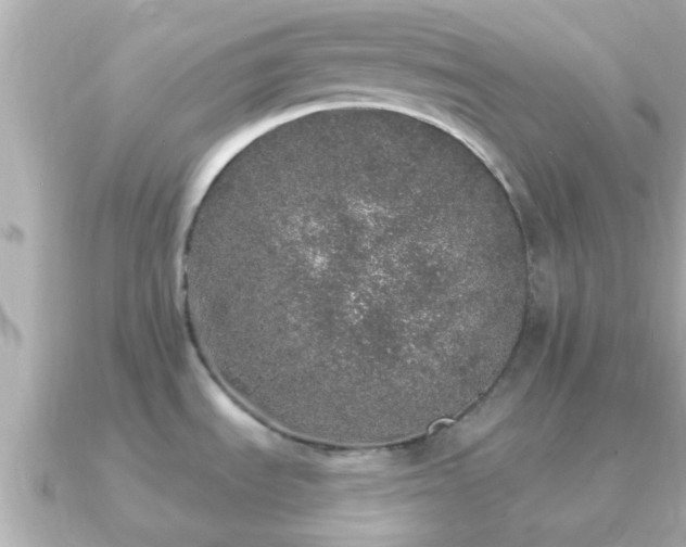 X0000091101535200708131057