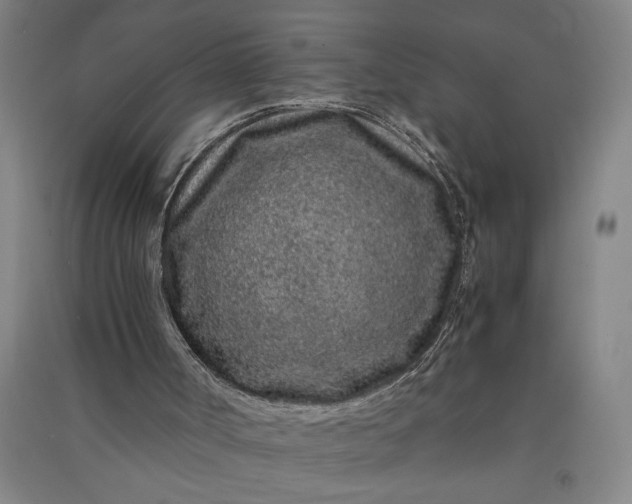 X0000091100002200708201532