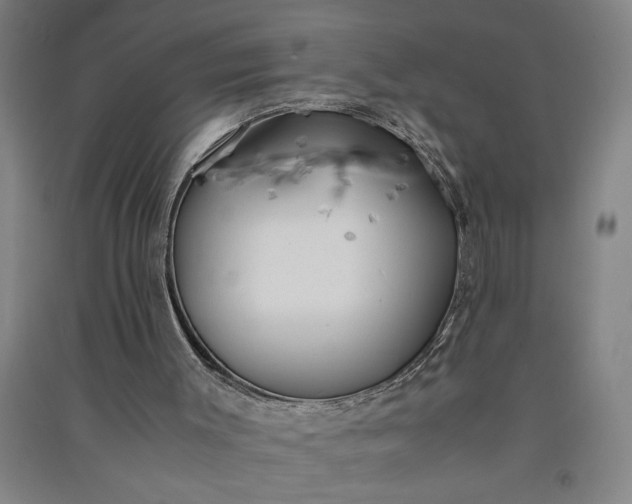 X0000091100003200708201532